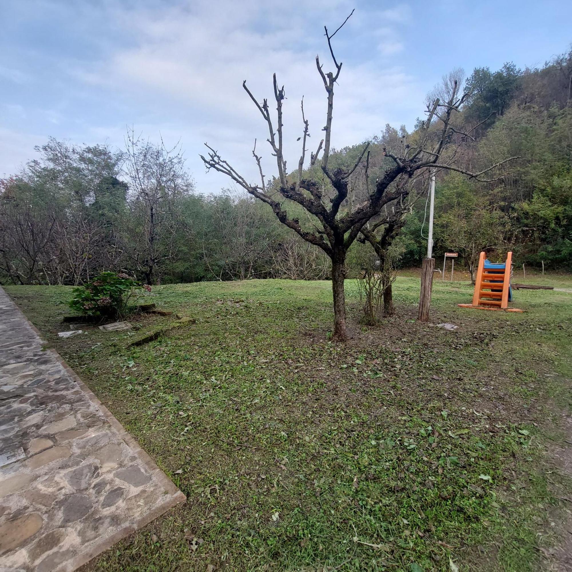 Borgo Pizzicare Bed & Breakfast Vado Exterior photo